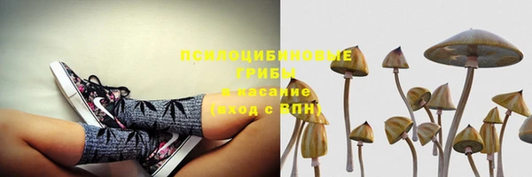 дживик Приозерск