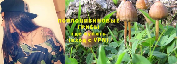 спайс Галич